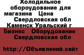 Холодильное обороудование для магазина › Цена ­ 2500-10000 - Свердловская обл., Каменск-Уральский г. Бизнес » Оборудование   . Свердловская обл.